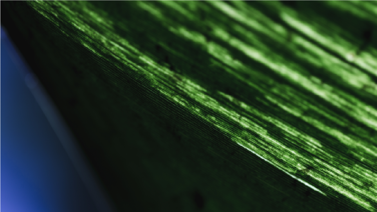 ISO 14001:2015 Internal Auditor Course – CQI & IRCA Accredited Environmental Audit Training in Malta 